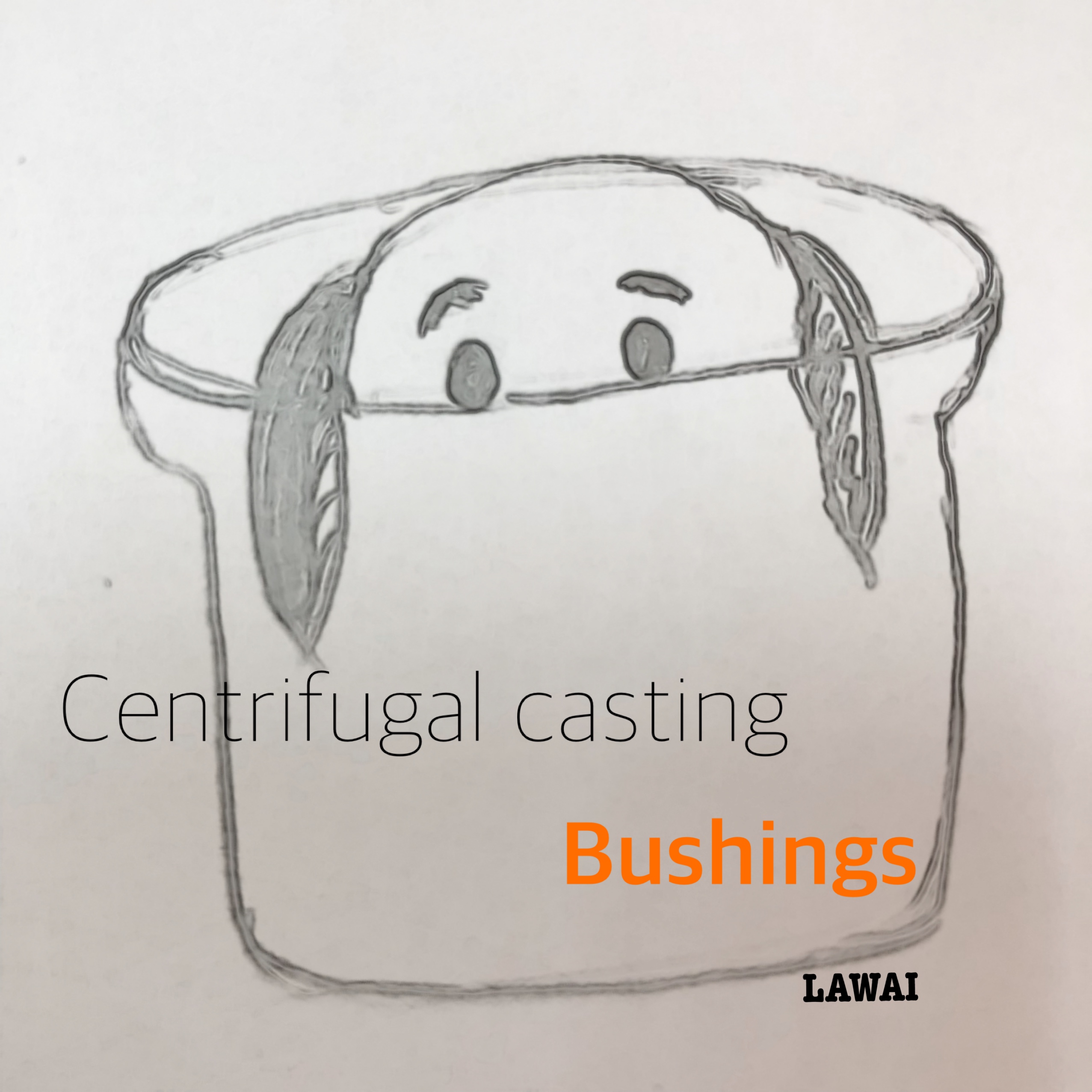 LAWAI INDUSTRIAL CORPORATION produces centrifugal casting bushings in Taiwan