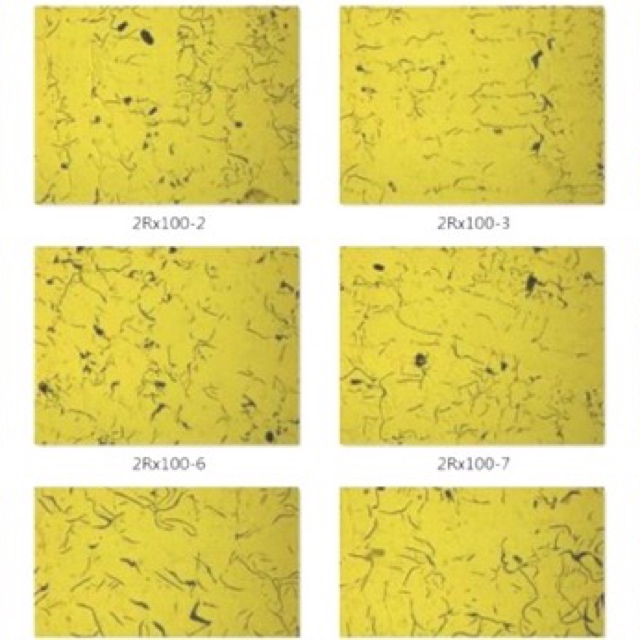 The microstructure of the Ni-resist 1 centrifugal casting manufactured at LAWAI INDUSTRIAL CORPORATION